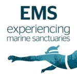 Emsau18